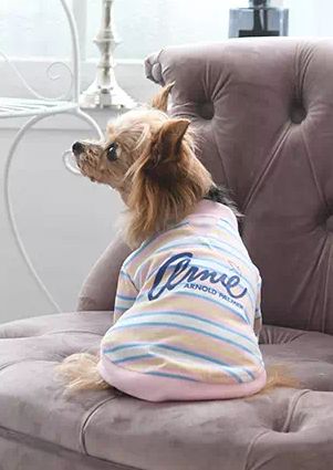 Arnold Palmer<br>マルチボーダー Ｔシャツ(PK)