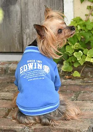 EDWIN<br>スウェット ブルゾン(NV)