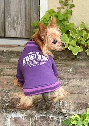 EDWIN<br>スウェット ブルゾン(PL)
