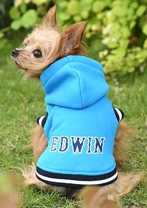 EDWIN<br>カレッジ パーカー(BL)