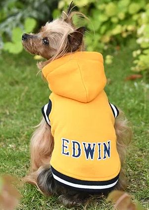 EDWIN<br>カレッジ パーカー(YL)