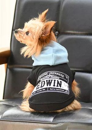 EDWIN<br>フード切り替え パーカー(BK)