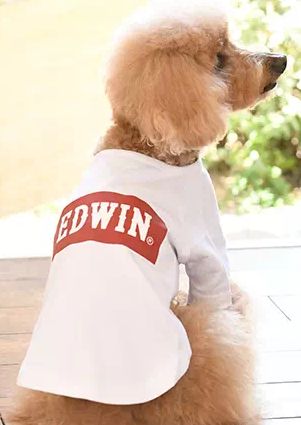 EDWIN<br>ベーシック ロゴ Ｔシャツ(WH)