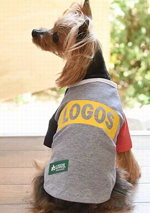 LOGOS<br>ボックス ロゴ Ｔシャツ(GR)