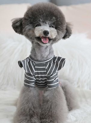 TOTO&ROY<br>ウィーリーストライプTシャツチャコール(NO)