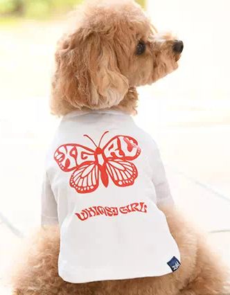 X-GIRL<br>バタフライ Ｔシャツ(WH)