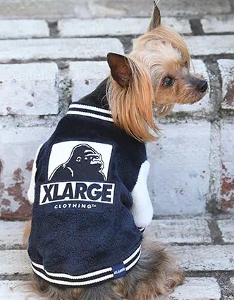 XLARGE<br>オージー フリース スタジャン(NV)