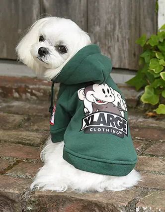 XLARGE<br>キース フーディー(GR)