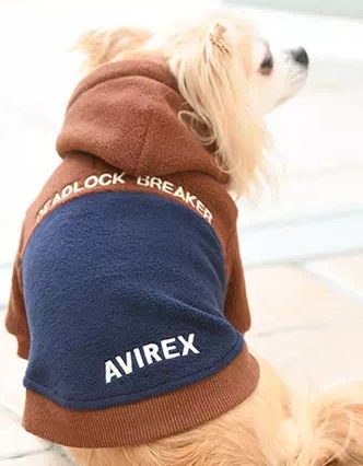 AVIREX<br>２トーン パーカー(BR)