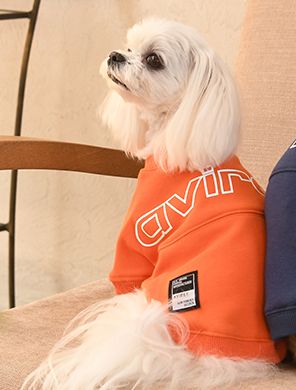AVIREX<br>ビッグロゴ スウェット(OR)