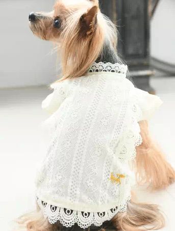 ROPE PICNIC<br>レースライン ブラウス(WH)