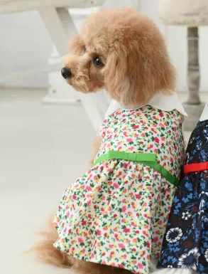 LAURA ASHLEY<br>リボンベルト ワンピース(WH)
