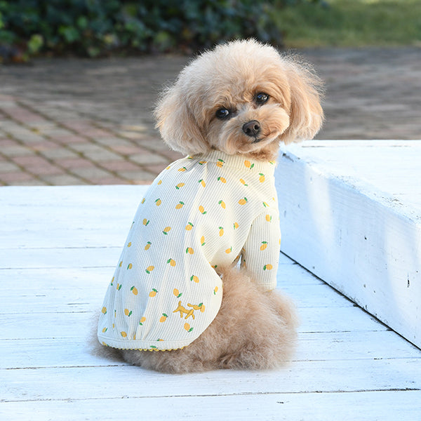 ROPE PICNIC<br>フルーツプリントワッフルTシャツ(YL)