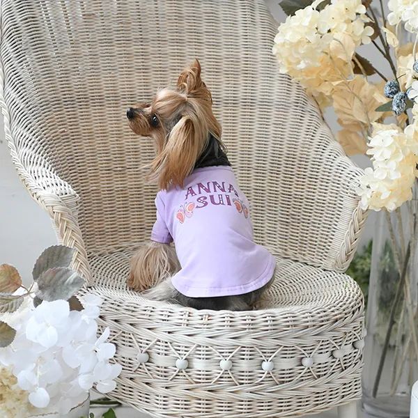 ANNA SUI<br>ボヘミアンロゴＴシャツ(PL)