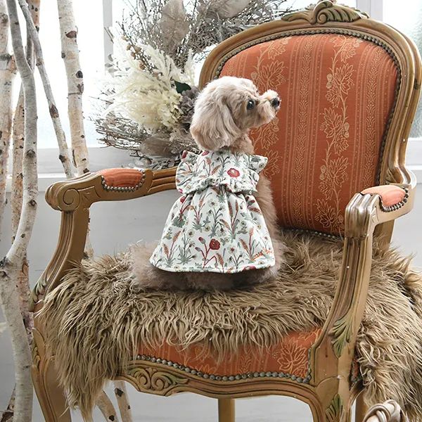 LAURA ASHLEY<br>フリルワンピース(IV)