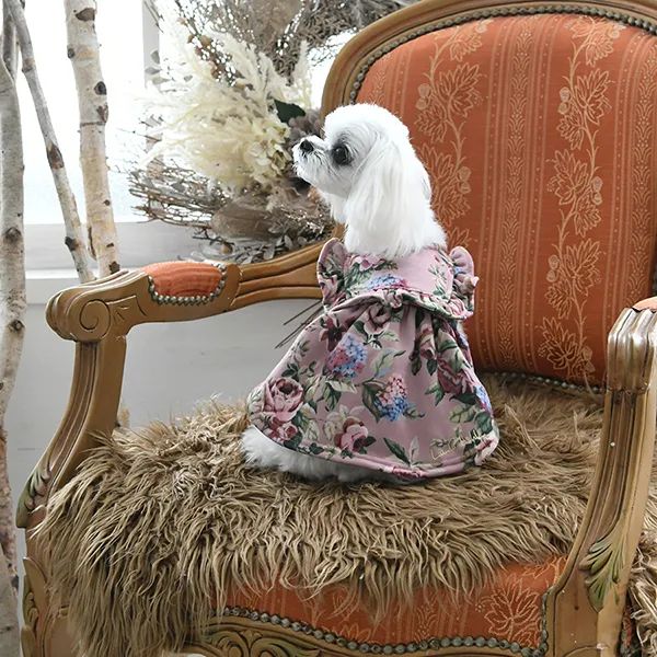 LAURA ASHLEY<br>フリルワンピース(PK)