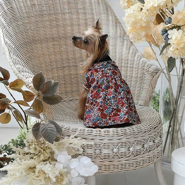 LAURA ASHLEY<br>襟付きワンピース(レッド)