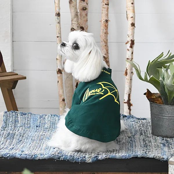 Arnold Palmer<br>ハイネックロゴＴ(GR)